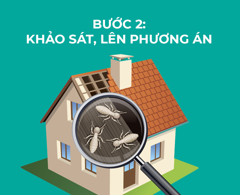 b2 Khao sat len phuong an 1