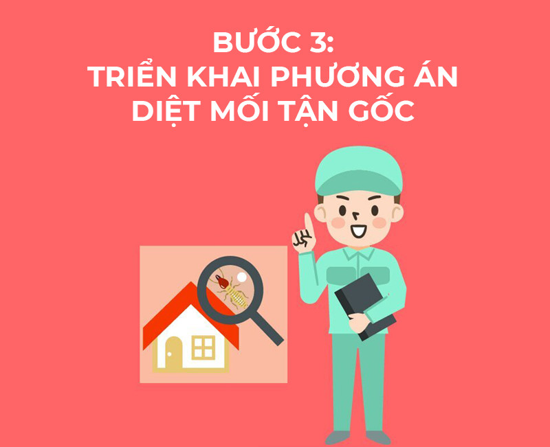 b3 Trien khai phuong an diet moi 1 1