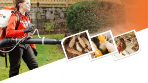 bannner xter 1 1