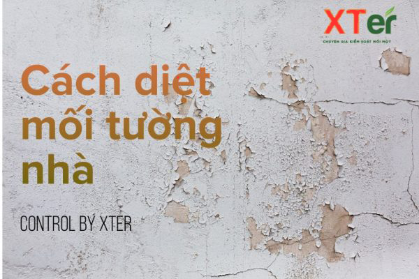 Phương pháp dân gian có ưu điểm an toàn, nhưng hiệu quả lại không cao