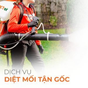 dich vu diet moi tan goc 1 1