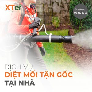 dich vu diet moi tan goc tai nha 6 1