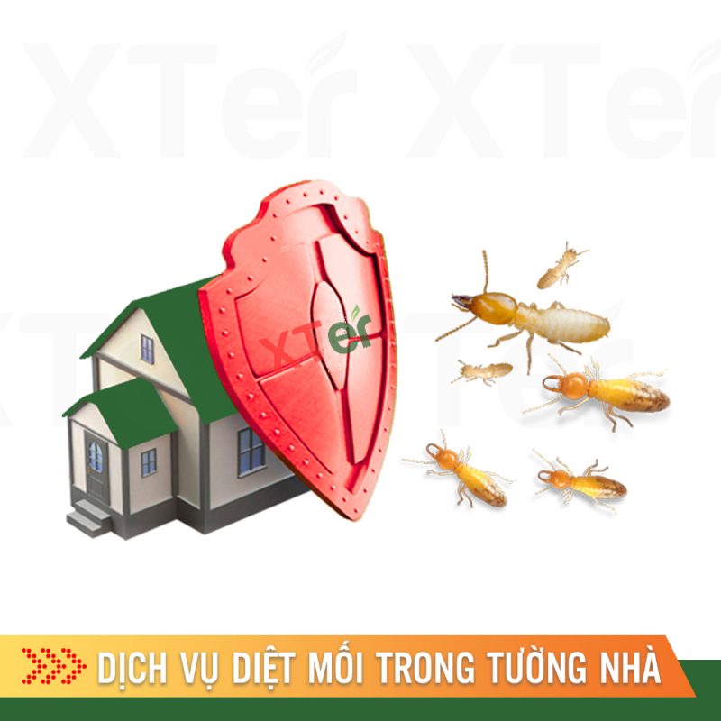 dich vu diet moi trong tuong nha 1 1