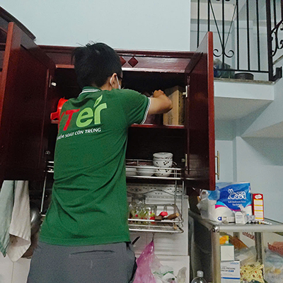 Dịch Vụ Diệt Mối Tận Gốc Tại Bình Chánh