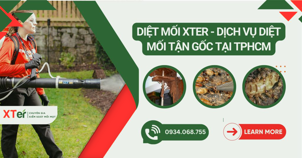 diet moi tan goc hcm