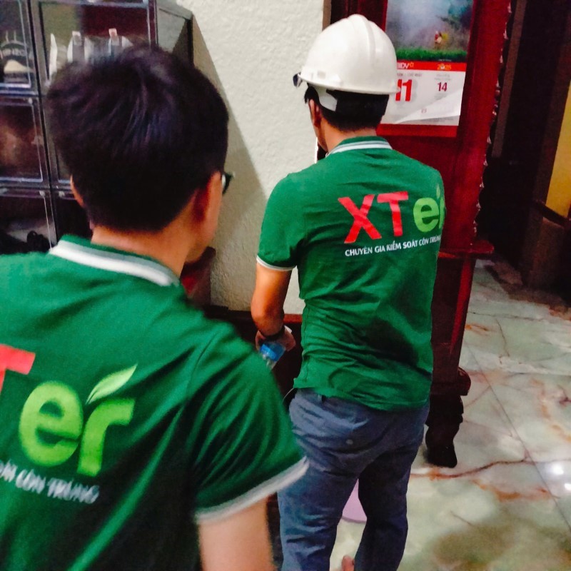 xu ly moi
