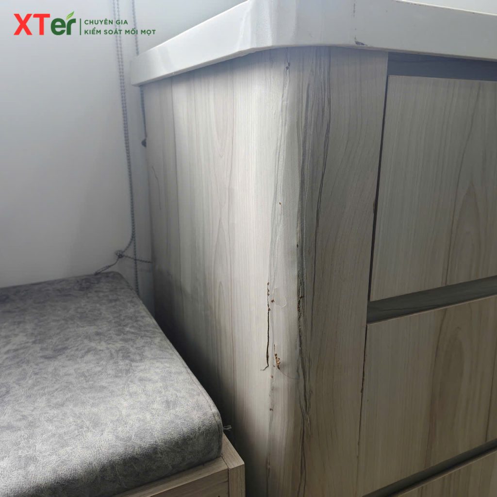 Dấu hiệu mối xâm nhập - Tủ gỗ đã bị phồng rộp