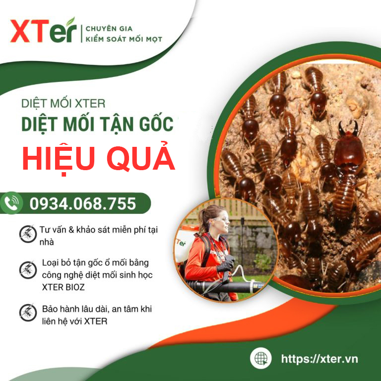 Dịch vụ diệt mối hiệu quả XTER POWER