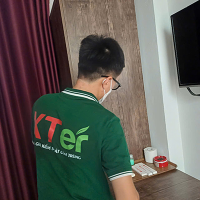 Dịch Vụ Diệt Mối Tận Gốc Tại Quận 9