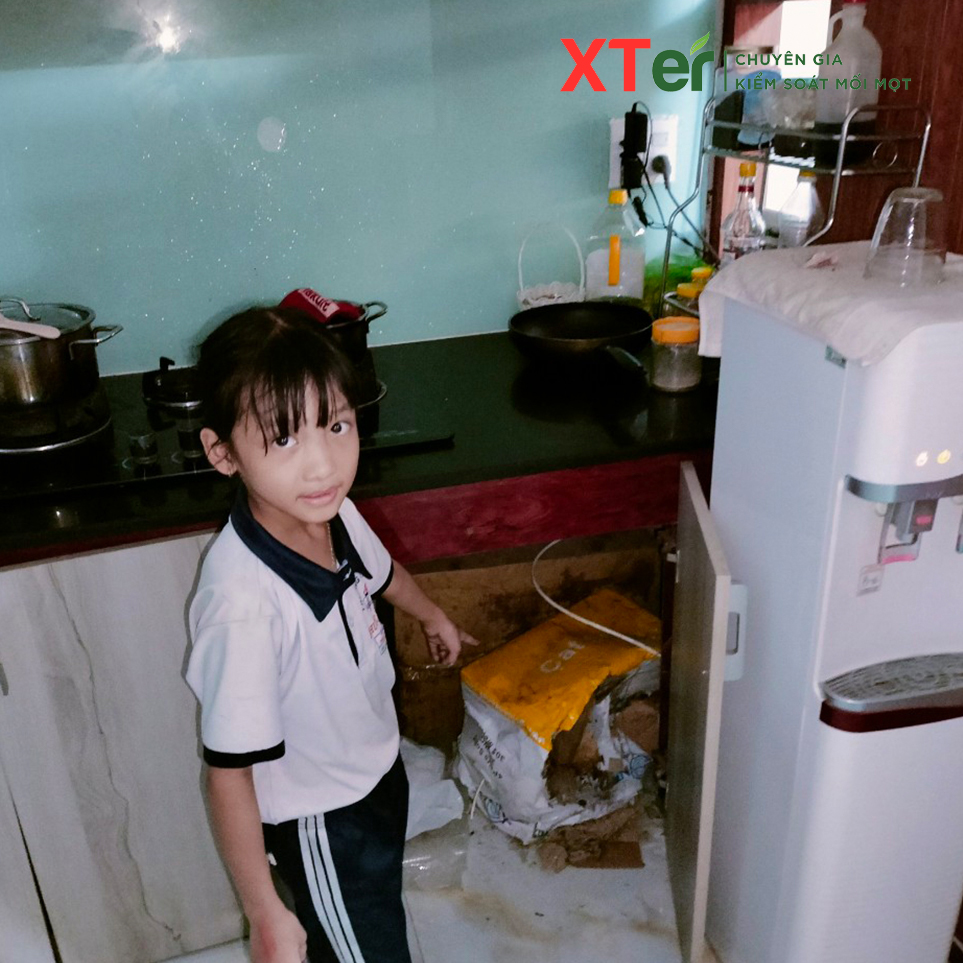 diet moi tan goc tphcm tan noi 1