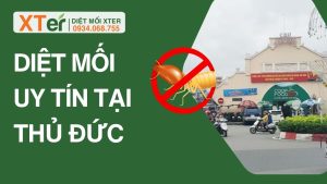 diet moi uy tin tai thu duc 1