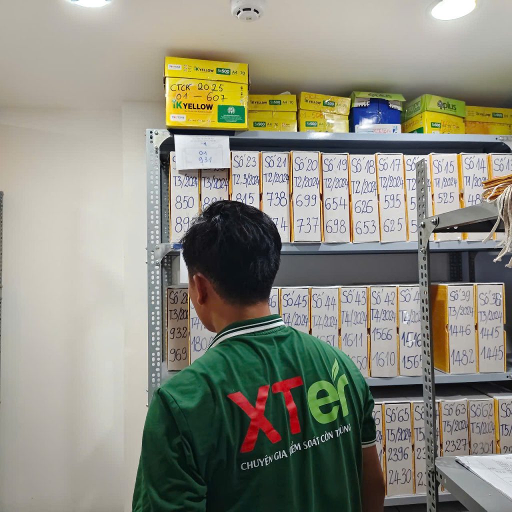 Diệt mối quận 6 uy tín - bảo hành dài lâu