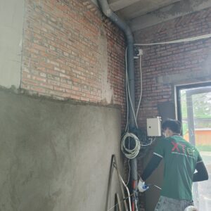 Diệt mối tại nhà dĩ an tận gốc