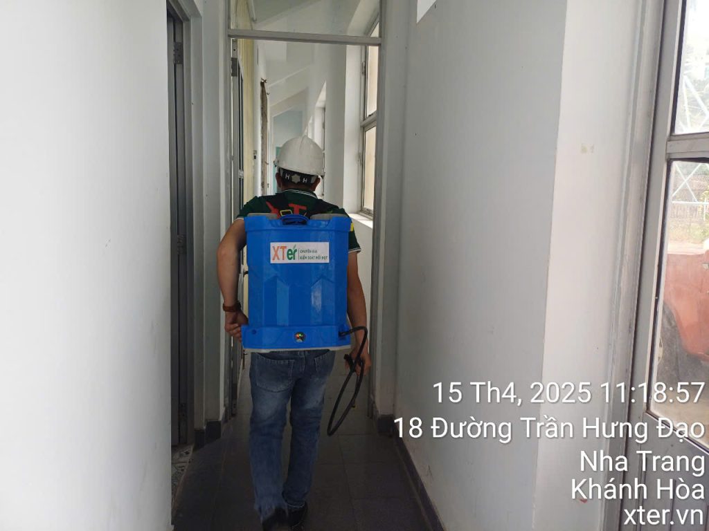Đội ngũ nhân viên XTER luôn tận tâm và chuyên nghiệp