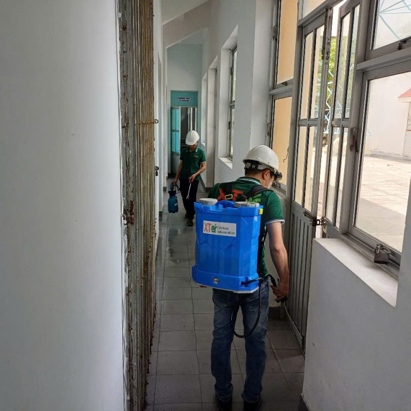 Dịch Vụ Diệt Mối Tận Gốc Hà Nam