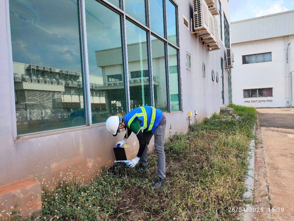 Diệt mối tận gốc tại Hóc Môn