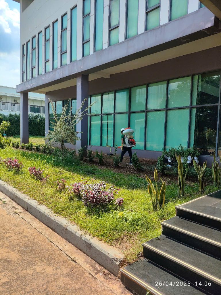 Dịch vụ phòng chống mối công trình uy tín tại XTER