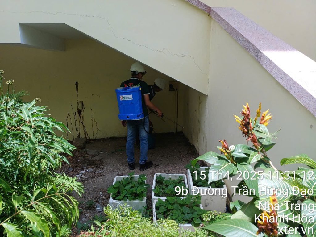 Công nghệ sinh học Xter – Bioz an toàn, không độc hại