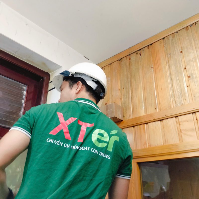 XTER áp dụng các kỹ thuật và công nghệ tiên tiến nhất để loại bỏ triệt để mối