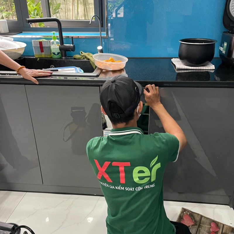 Diệt Mối Tận Gốc Tại Nam Định