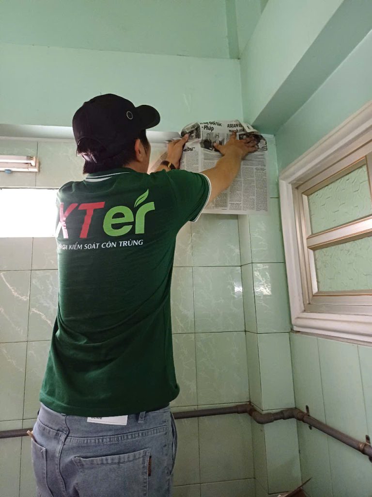 XTER đặt hộp dò tổ mối