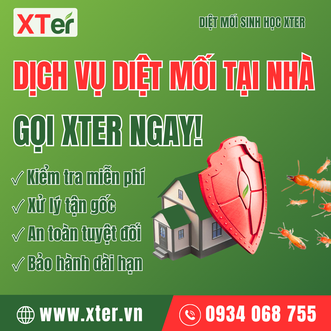 diet moi tai nha