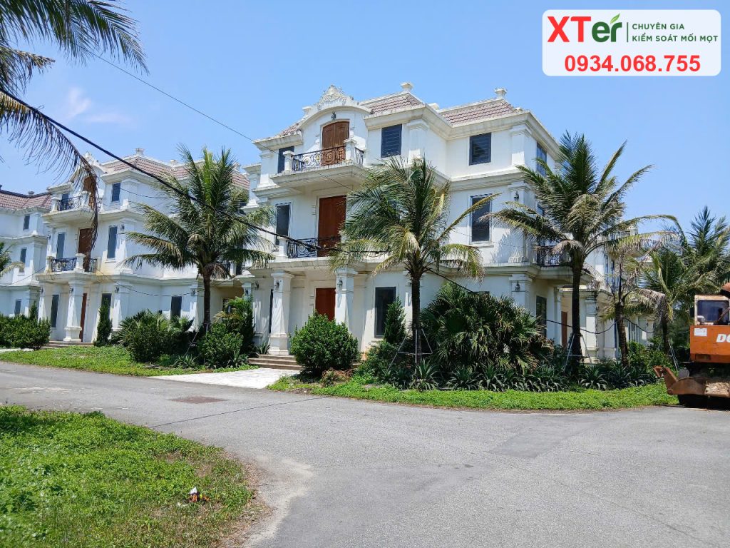 XTER diệt mối biệt thự sang trọng