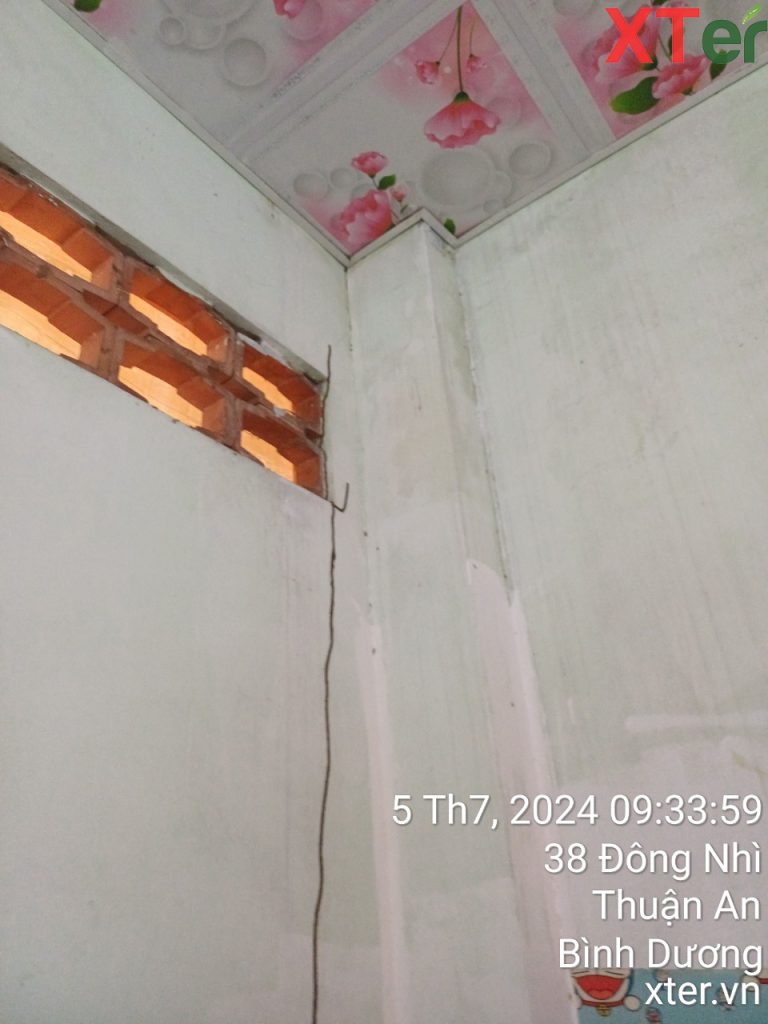 Những vệt đất mối này thường dẫn từ tổ mối dưới đất