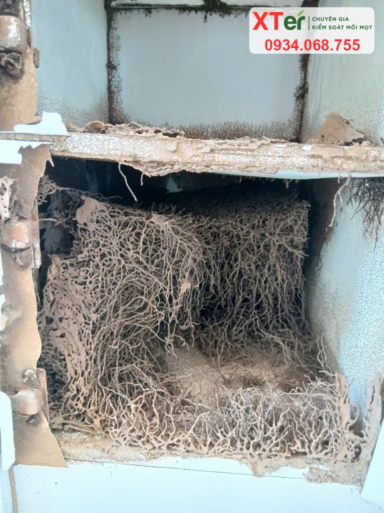 Diệt mối tủ bếp - Mối phá hỏng tủ bếp nghiêm trọng