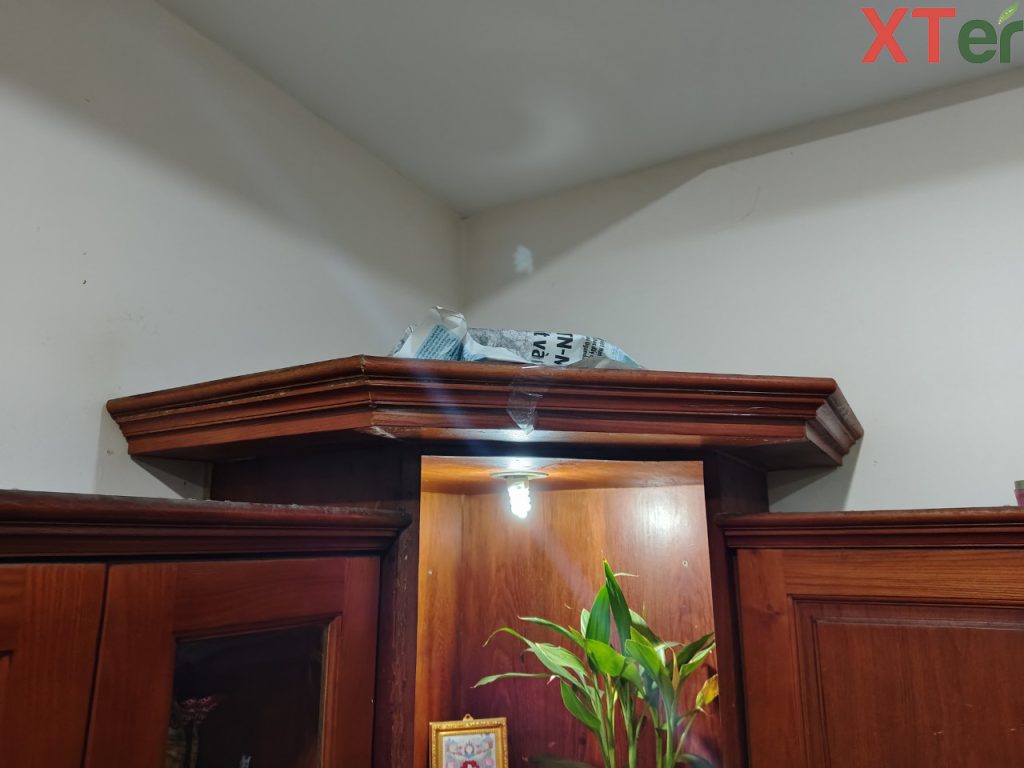 XTER sử dụng mồi sinh học XTER Bioz an toàn