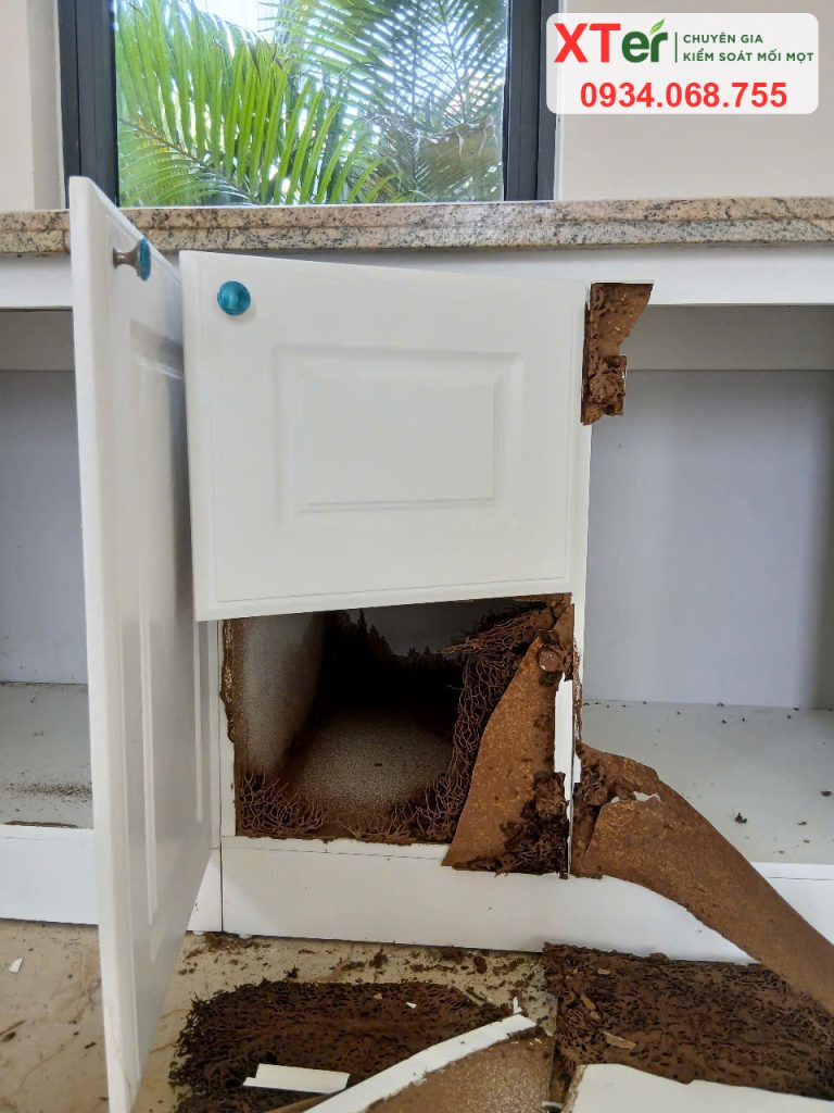 Diệt mối tủ bếp - Tủ bếp bị mối phá hại nặng nề