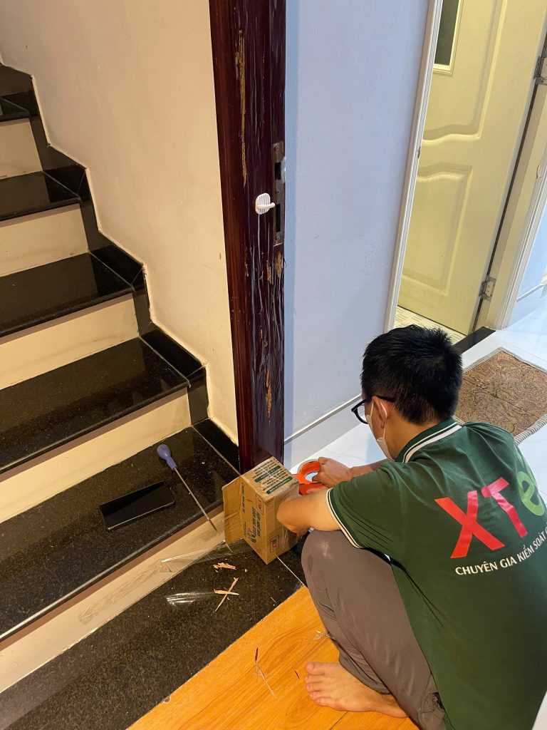 XTER đang triển khai khung cửa gỗ bị mối