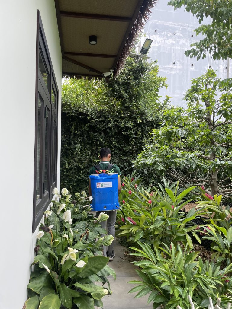 Xử lý côn trùng chuyên nghiệp tại XTER