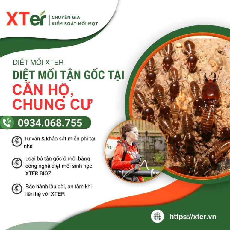 Diệt mối căn hộ chung cư