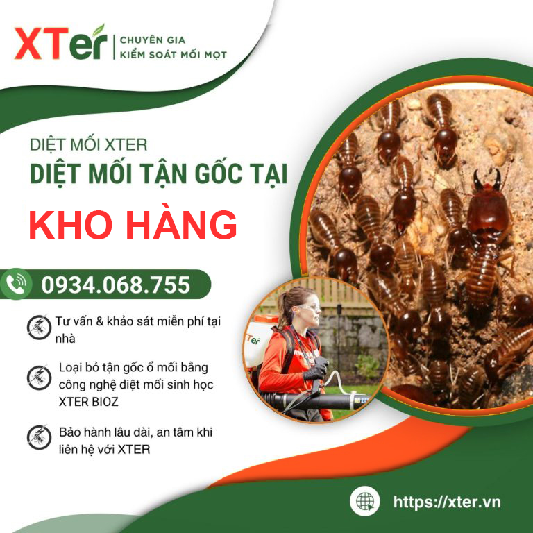 Dịch Vụ Diệt Mối Kho Hàng