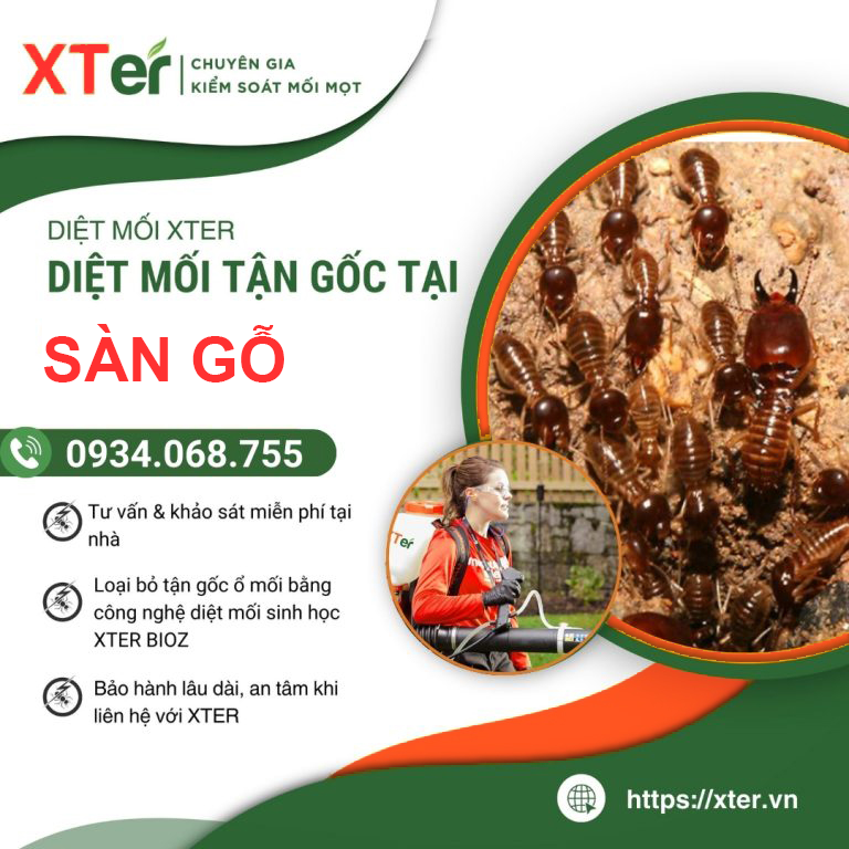 Diệt mối sàn gỗ