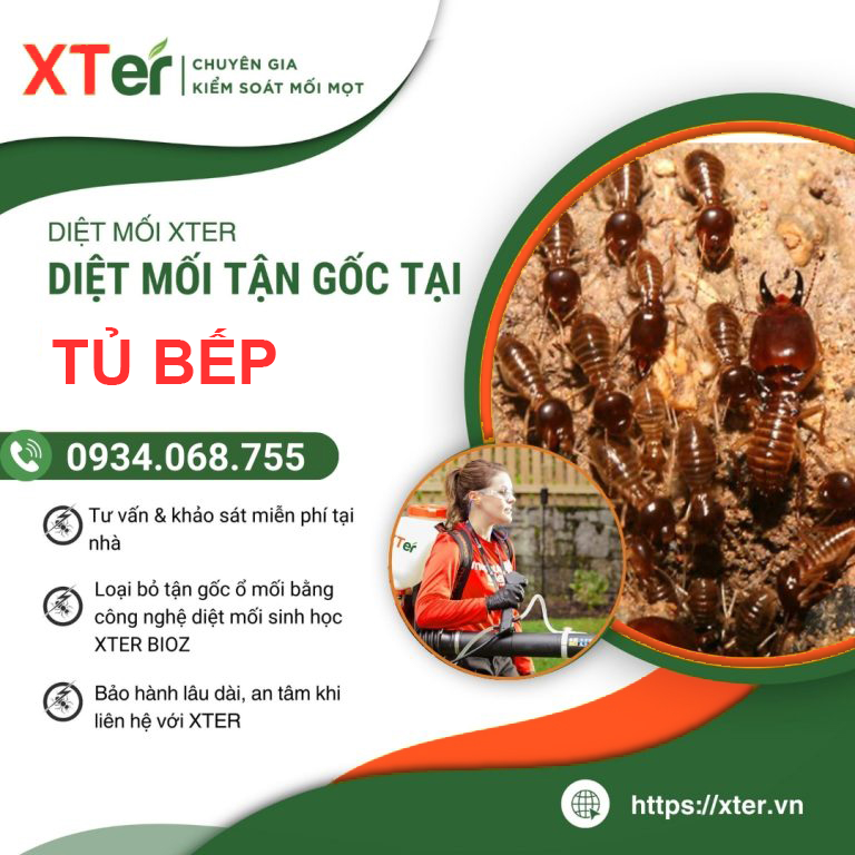 Dịch vụ diệt mối tủ bếp