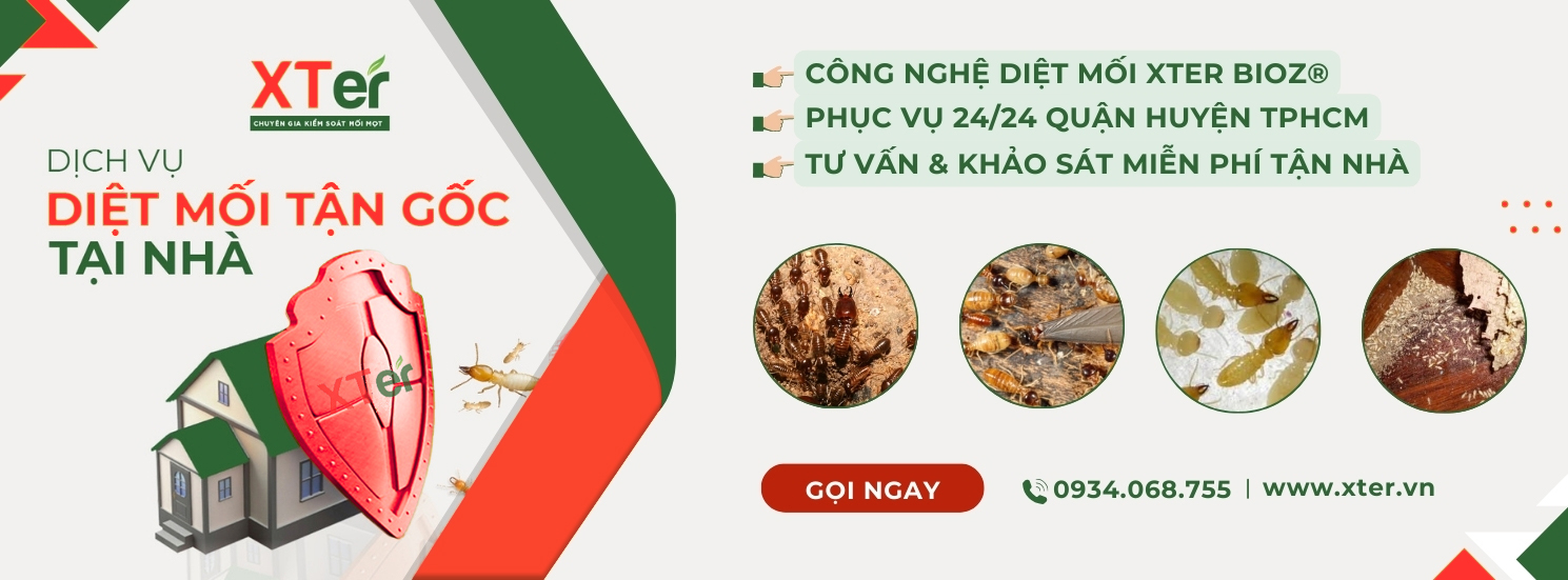 banner dich vu diet moi tai nha 1