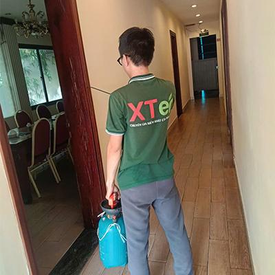 Dịch Vụ Diệt Mối Tận Gốc Tại Cần Giờ