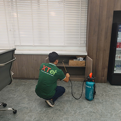 Dịch Vụ Diệt Mối Tận Gốc Tại Quận 12