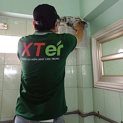 Dịch Vụ Diệt Mối Tận Gốc Tại Quận 2
