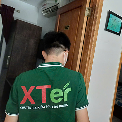 Dịch Vụ Diệt Mối Tận Gốc Tại Quận 8