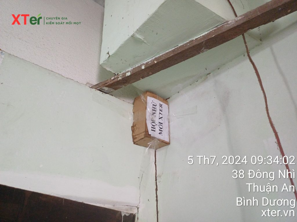 z5603512817867 73a8387c505e4609919307c558a53447