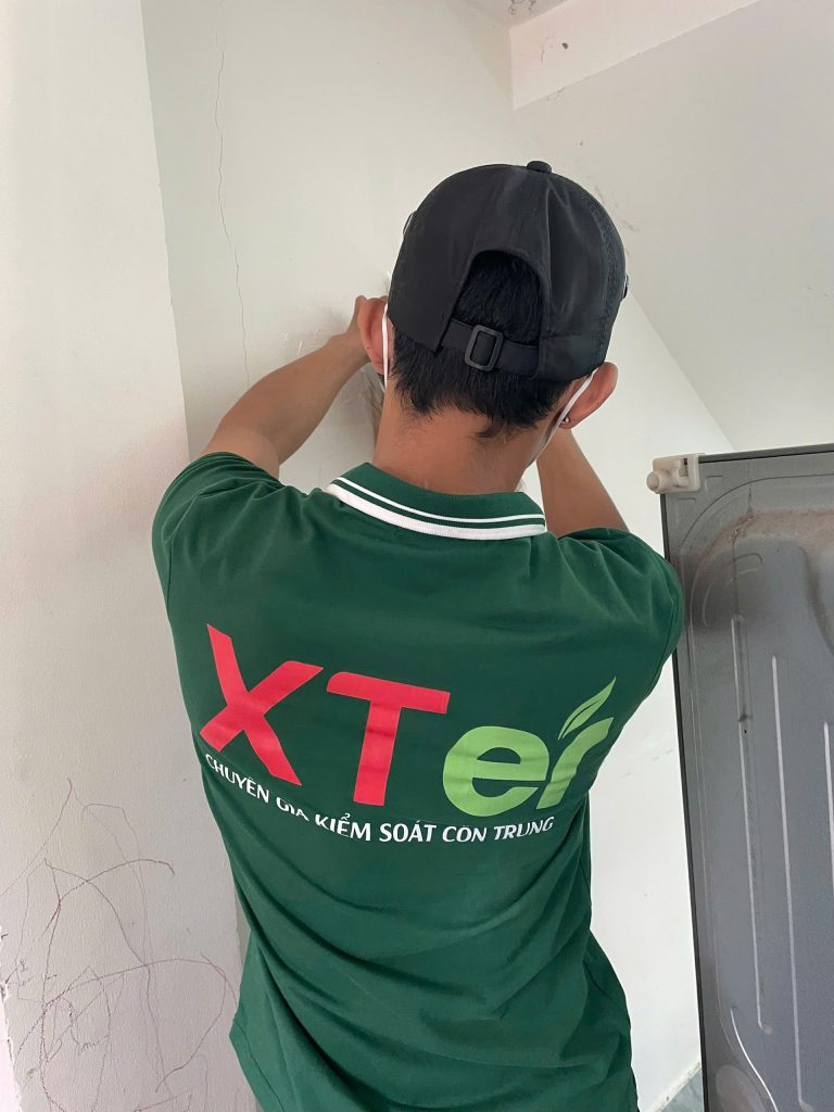 Quy trình 6 bước diệt mối Hà Tĩnh nhanh chóng