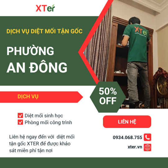 Dịch vụ diệt mối tận gốc tại An Đông