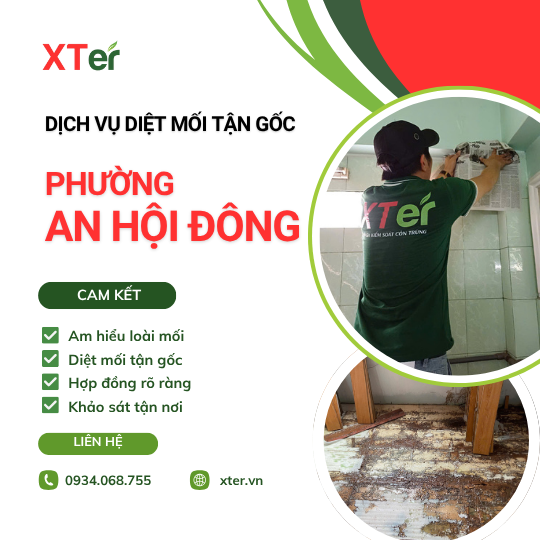 Dịch vụ diệt mối tận gốc tại An Hội Đông
