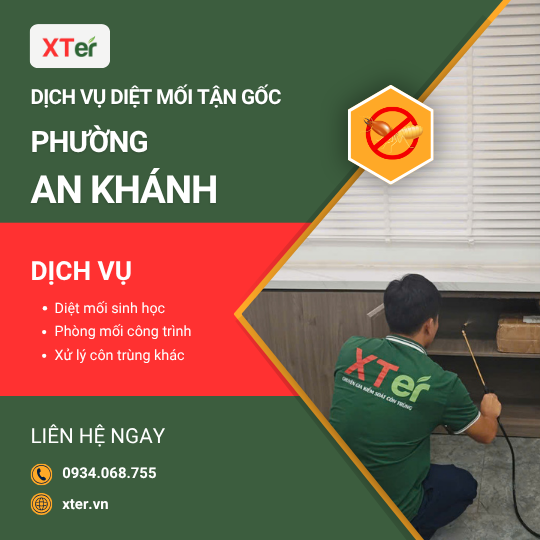 Dịch vụ diệt mối tận gốc tại An Khánh