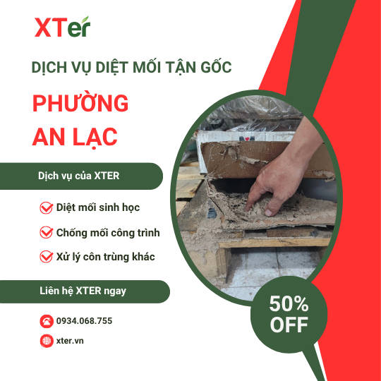 Dịch vụ diệt mối tận gốc tại An Lạc