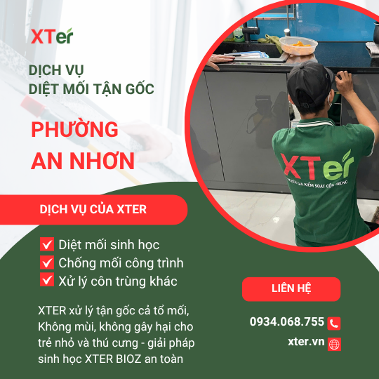 Dịch vụ diệt mối tận gốc tại An Nhơn
