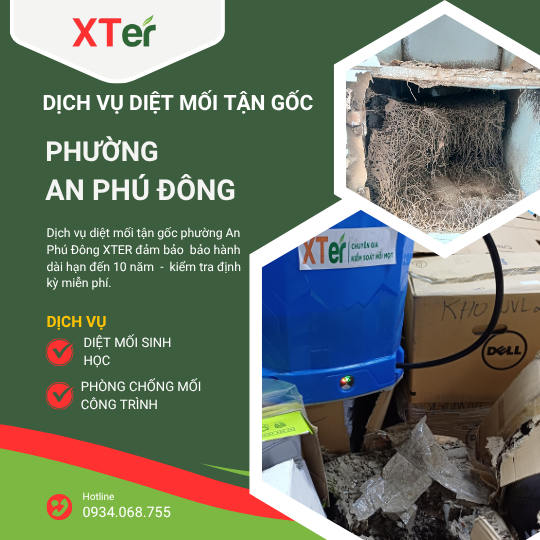 Dịch vụ diệt mối tận gốc tại An Phú Đông